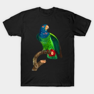 Black Panther Art - Beautiful Parrot 11 T-Shirt
